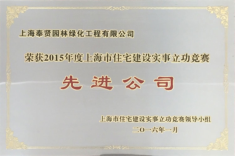 2015年度住宅建設(shè)實事立功競賽先進(jìn)公司.JPG